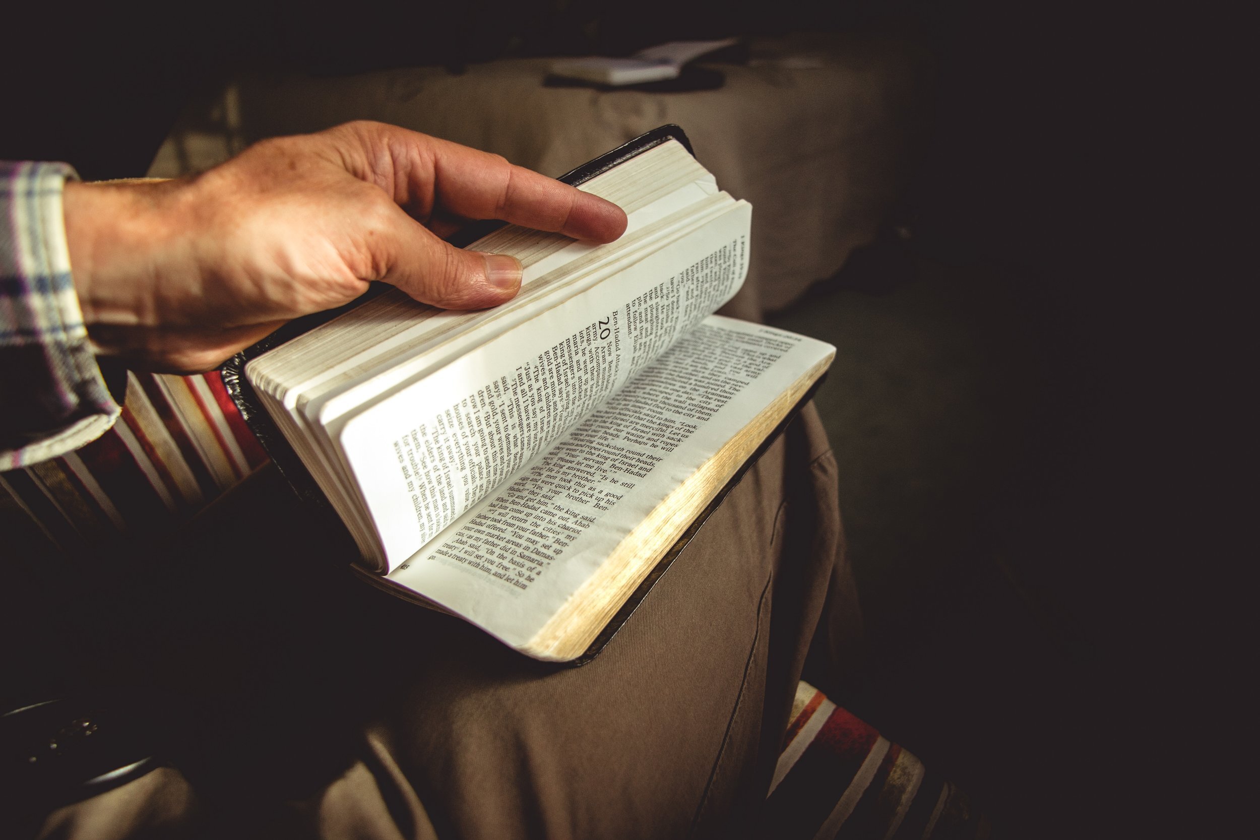 Your Own Personal Bible—And Other Insanities