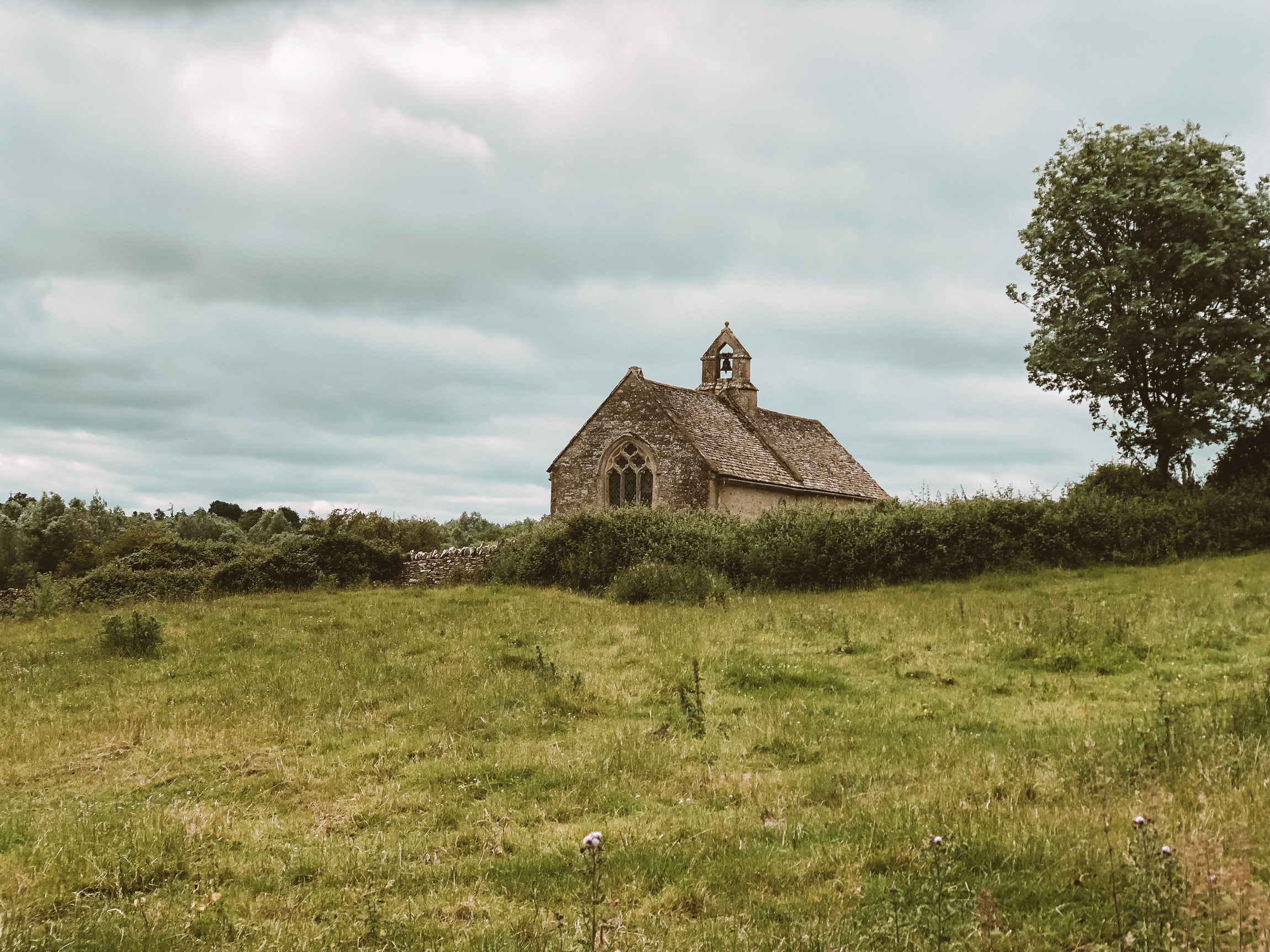 Bringing a Heifer to Church: A Different Perspective on Ash Wednesday